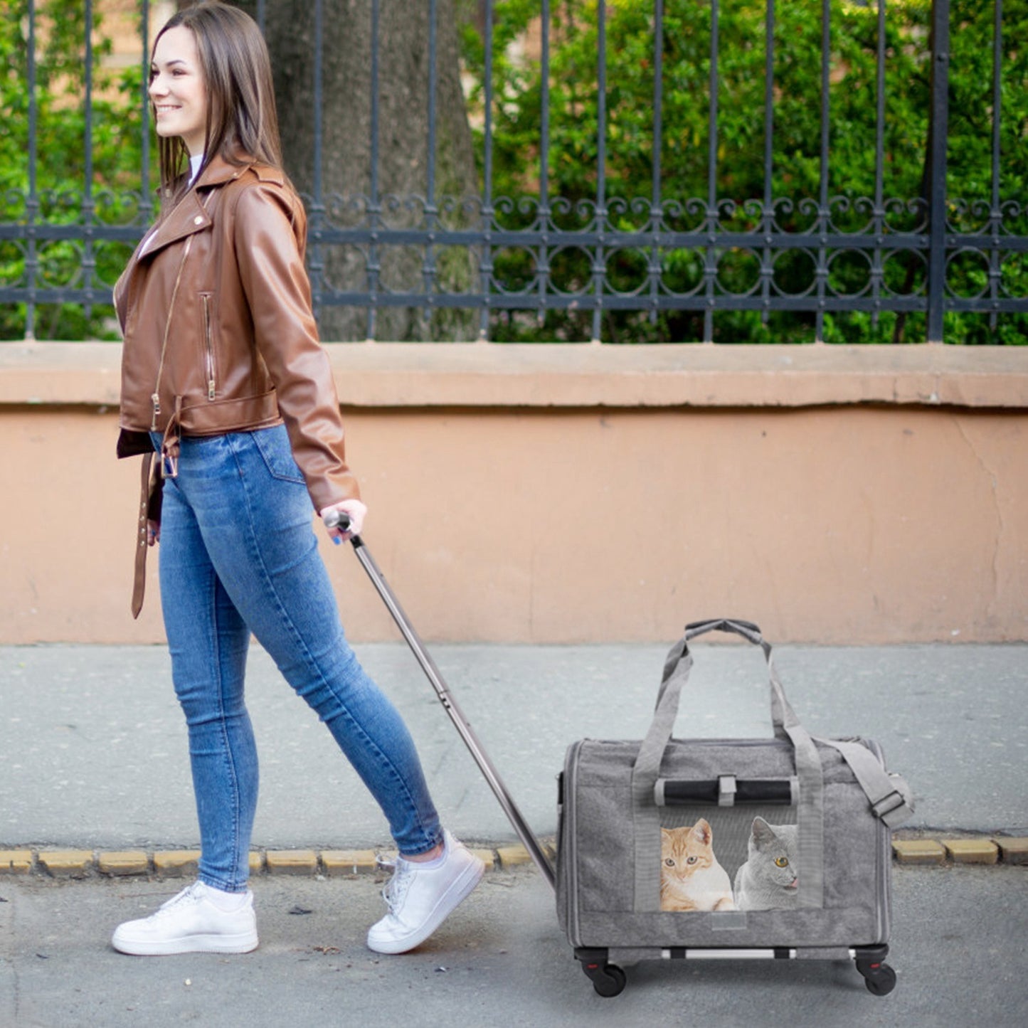 Airline-approved pet carrier with wheels Transport