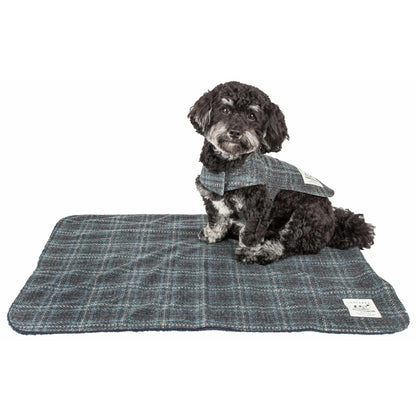 The Touchdog 2-in-1 Windowpane Plaided Dog Jacket with Matching Reversible Dog Mat is a stylish and cozy set for your furry friend. - Wolldi