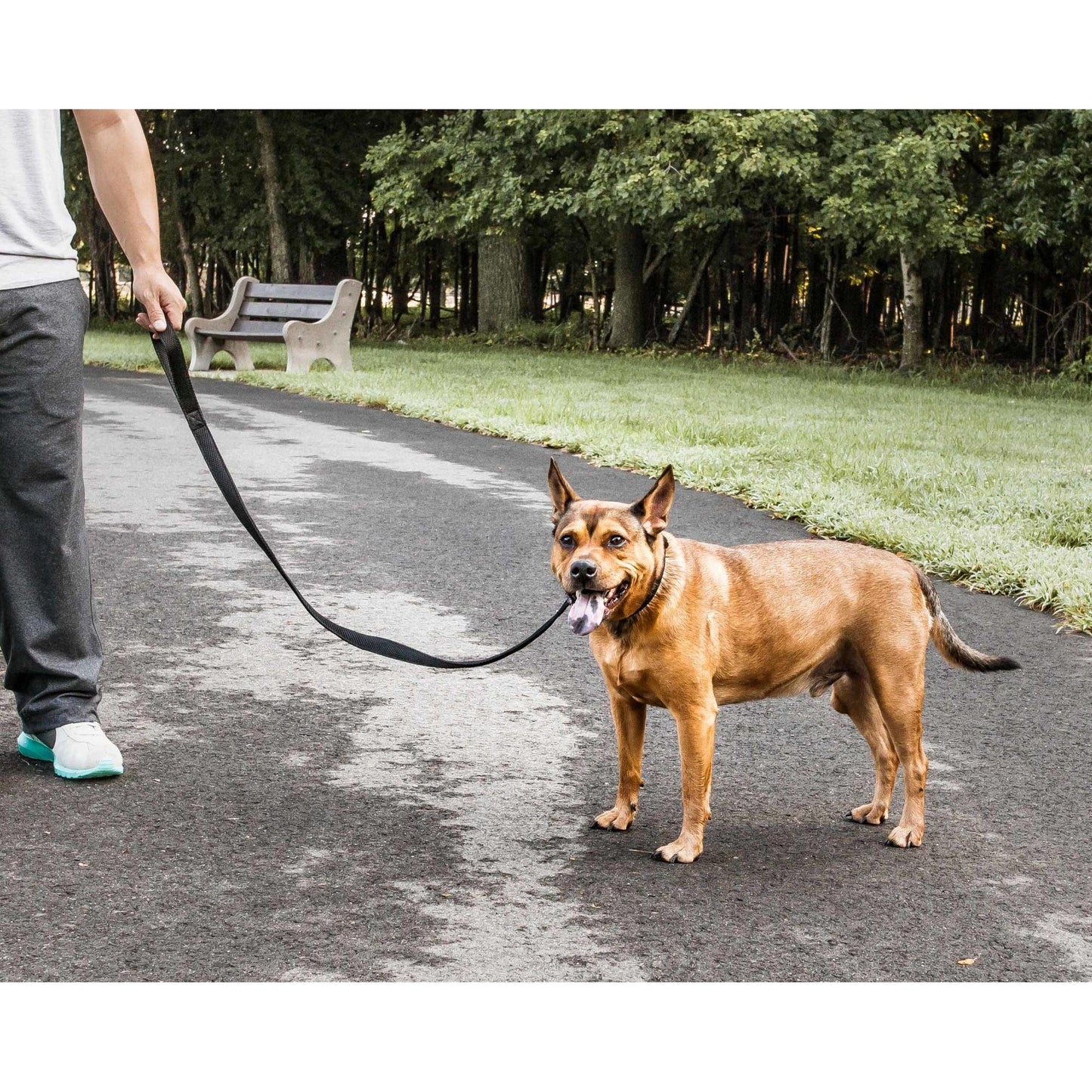 Breathable adjustable dog leash-colla Straps