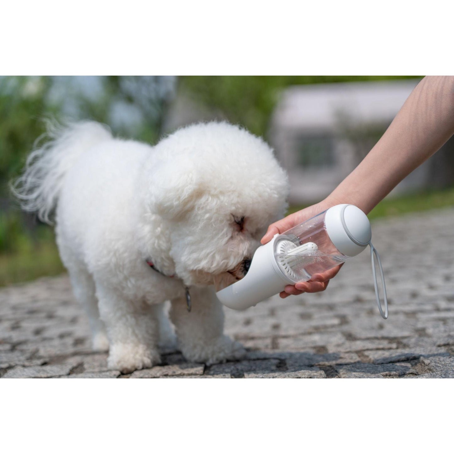 The PYURE handheld water feeder removes harmful chemicals, holds 12.2 oz, and is perfect for travel. - Wolldi