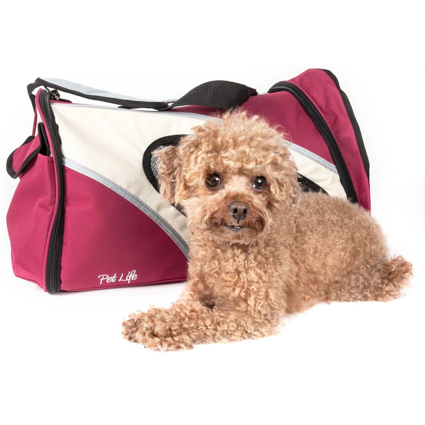 Collapsible pet carrier Transport