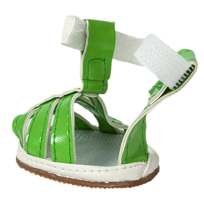 PVC Pet Sandals with Rubber Soles Footwear