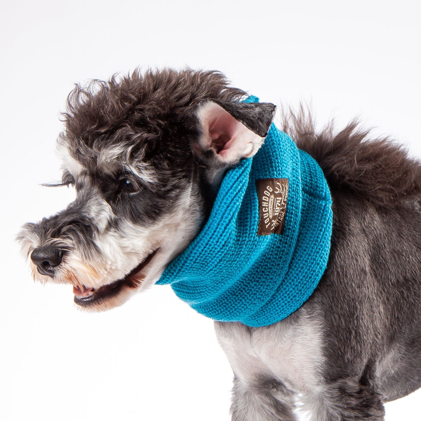 The Touchdog Heavy Knitted Winter Dog Scarf provides exceptional warmth and style. - Wolldi