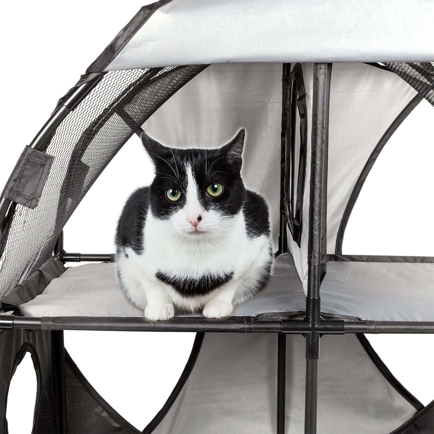 Collapsible Cat House for Multiple Cats HomeStyle