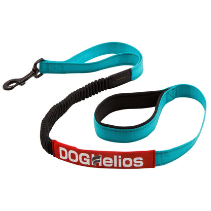 Indestructible dog leash and collar. Straps