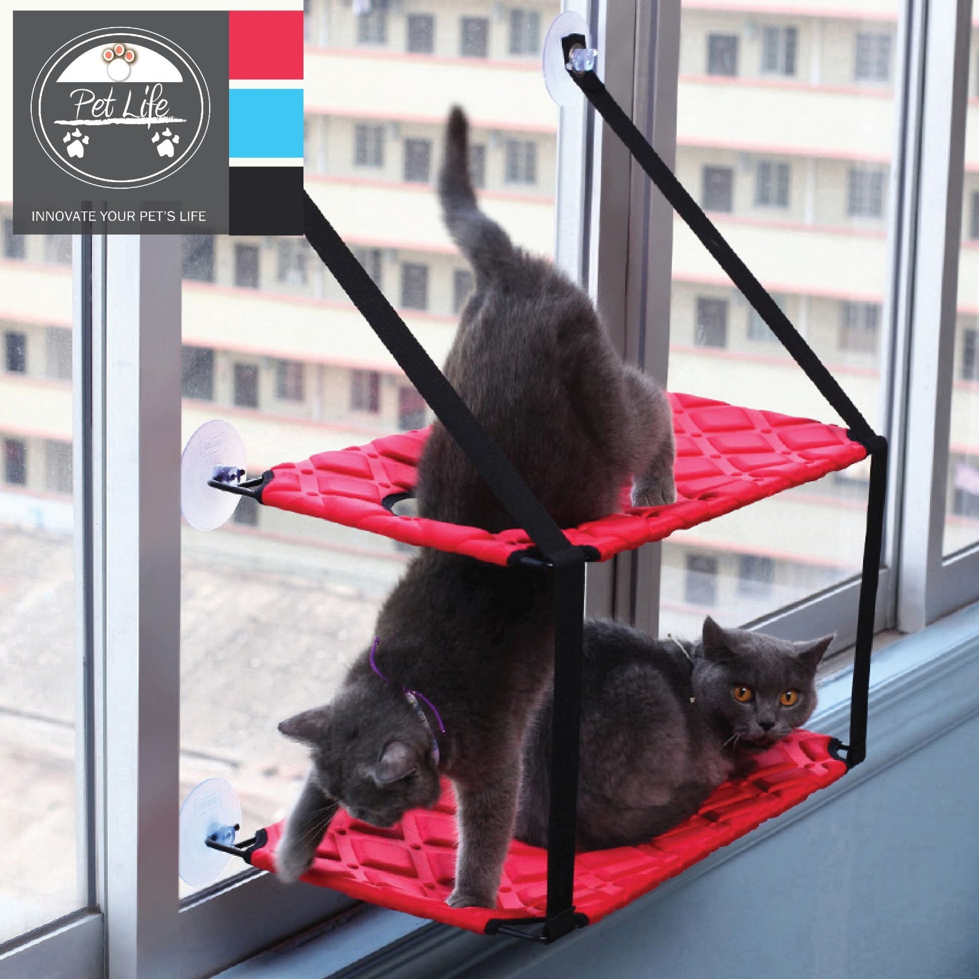 The Cat Laze is a suction cupped dual-leveled cat lounger that saves space. - Wolldi