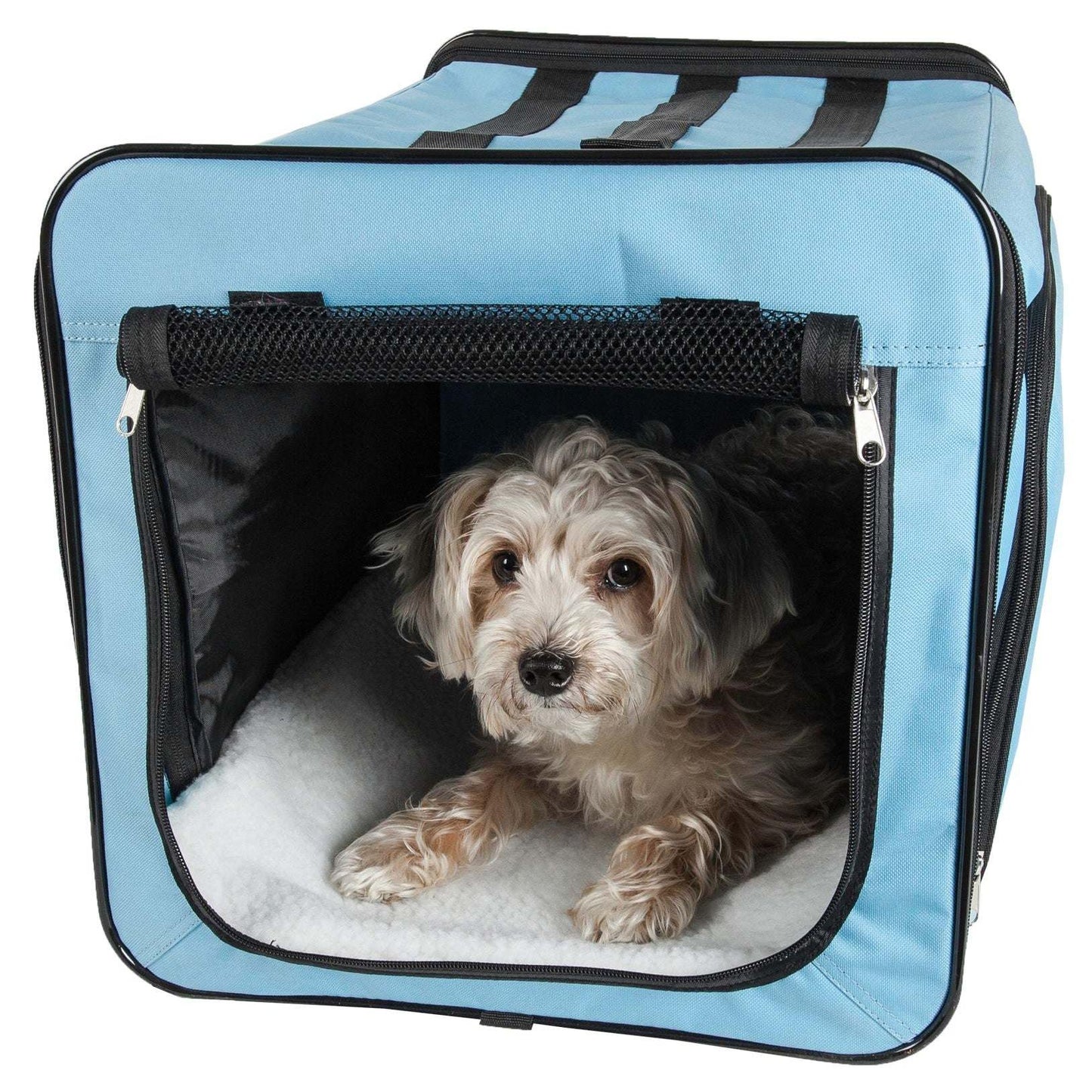 Travel crate for multiple pets Transport