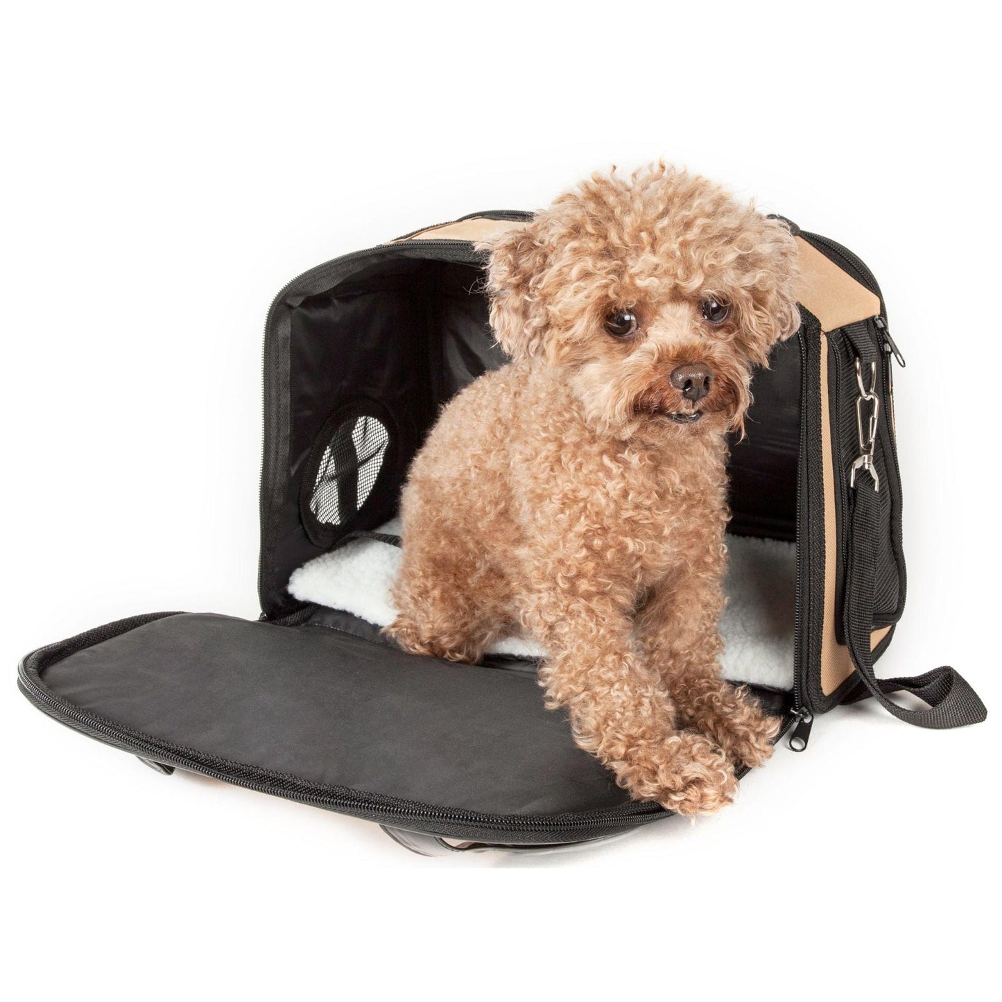 Airline-approved pet carrier Transport