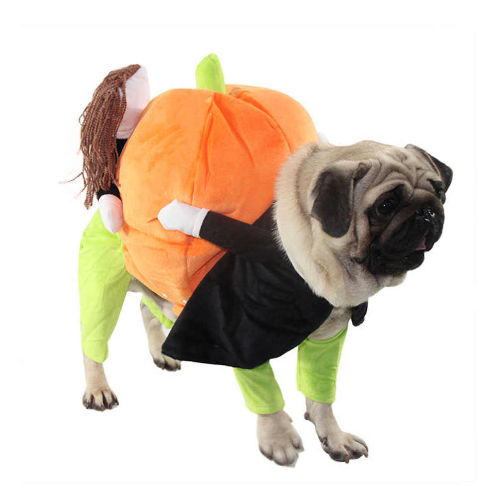 The Pet Life 'Pumpkin Mon' Halloween Pet Dog Costume is a hilarious illusion costume featuring a person and pet carrying a pumpkin. Convenient and machine washable. - Wolldi