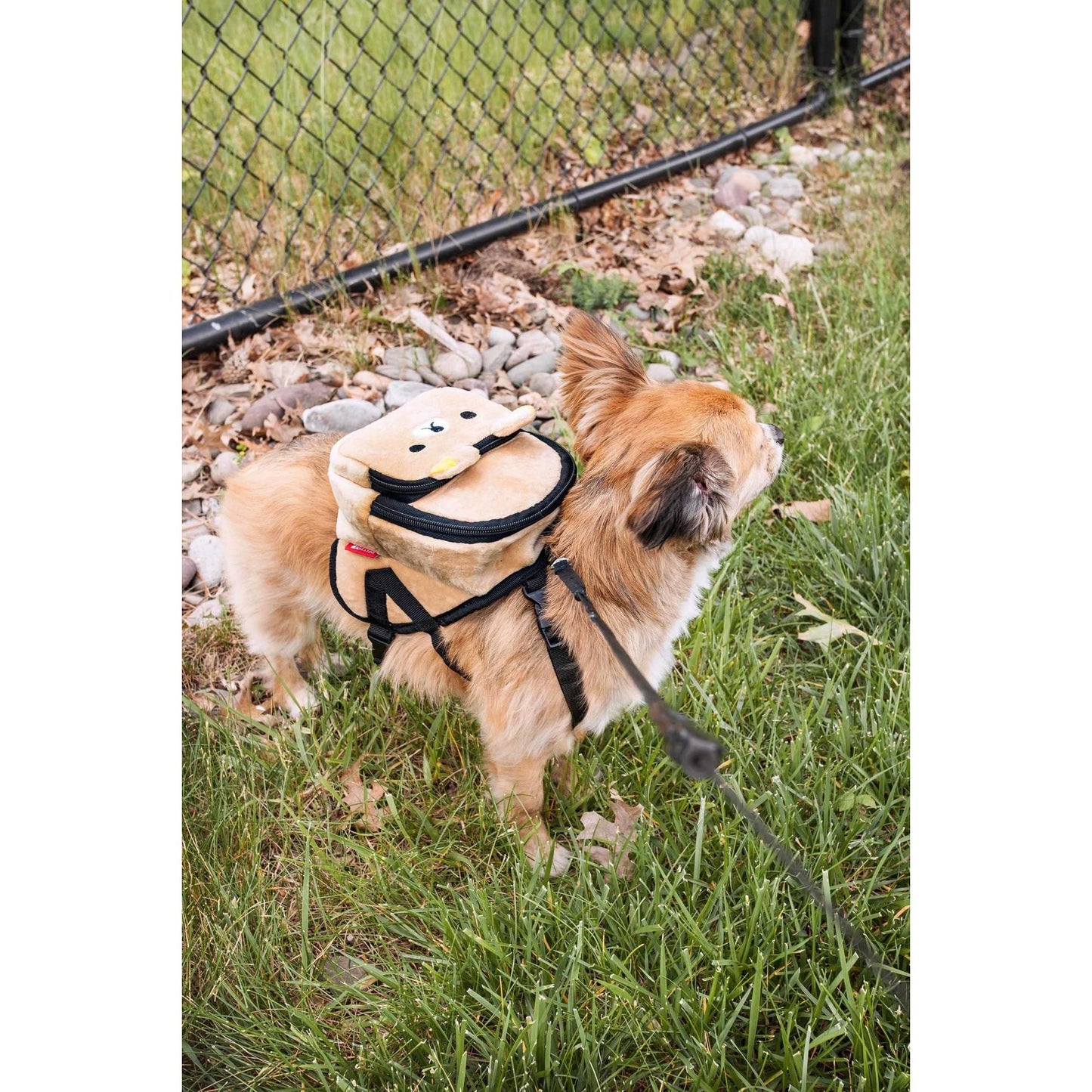 Dog Backpack with Dual Compartments