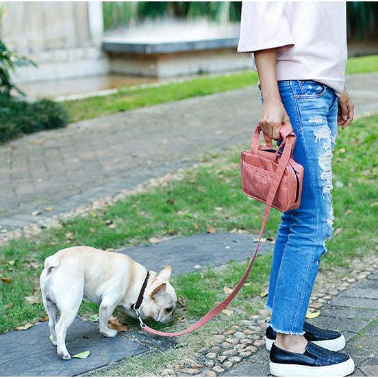 The Pet Life 'Posh Walk' Purse Dog Leash is an all-in-one accessory holder with waste bag dispenser. - Wolldi