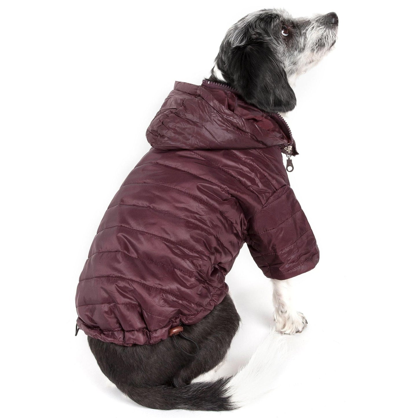 Adjustable lightweight pet coat