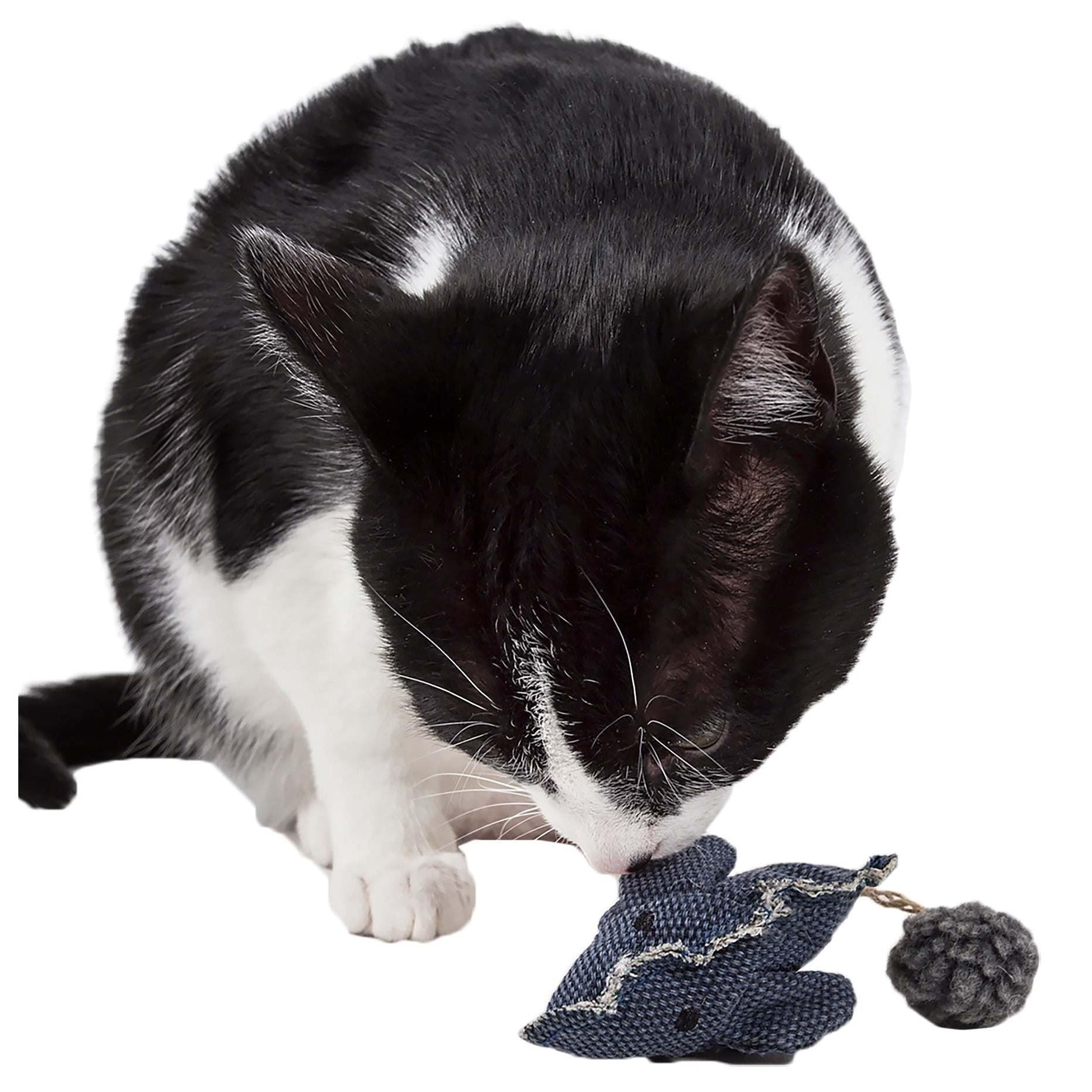 Pet Life Pompom Kitty Mouse Plush Catnip Cat Toy: Durable, eco-friendly, and fun play toy with pom-pom tail. - Wolldi