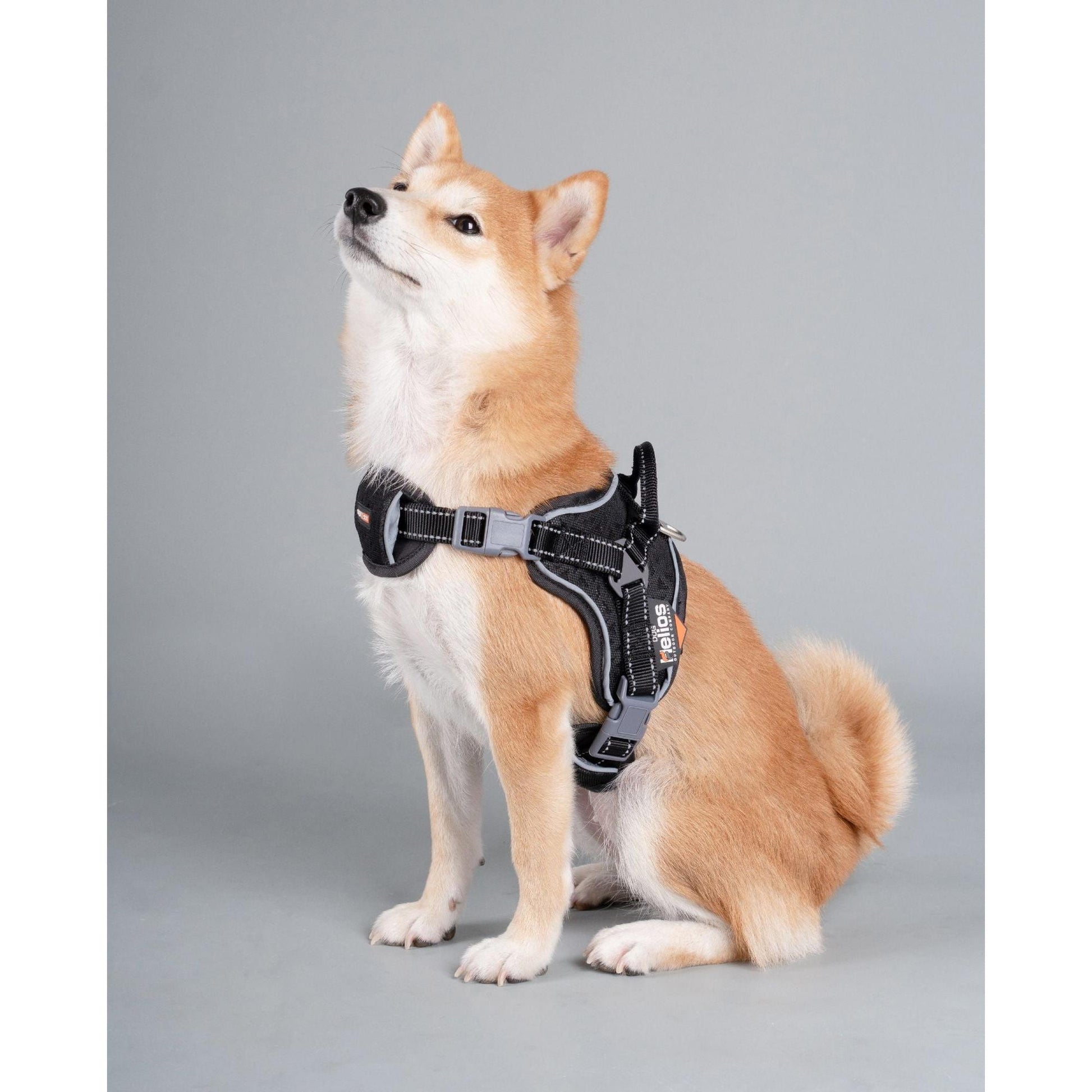 The Dog Helios 'Scorpion' harness offers comfortable and durable high-performance for dogs. - Wolldi