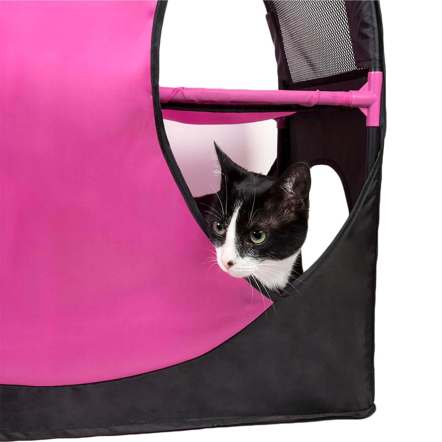 Collapsible Cat House for Multiple Cats HomeStyle