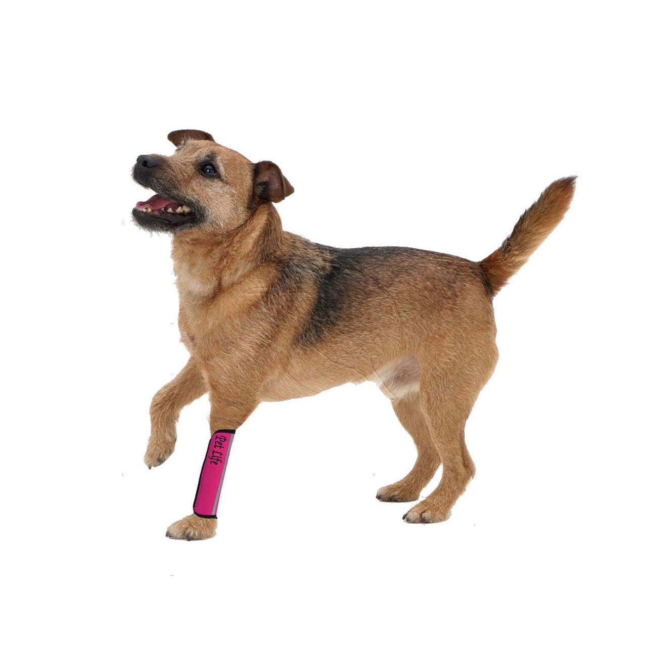 Neoprene pet sleeves joint support