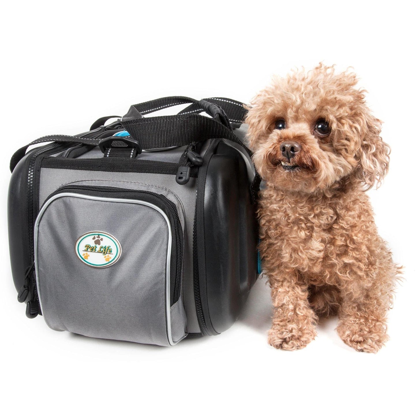 Airline-approved pet carrier with contoured design Explorer