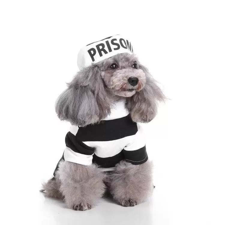 The Pet Life Striped Retro Inmate Prisoner Dog Costume is convenient and machine washable. - Wolldi