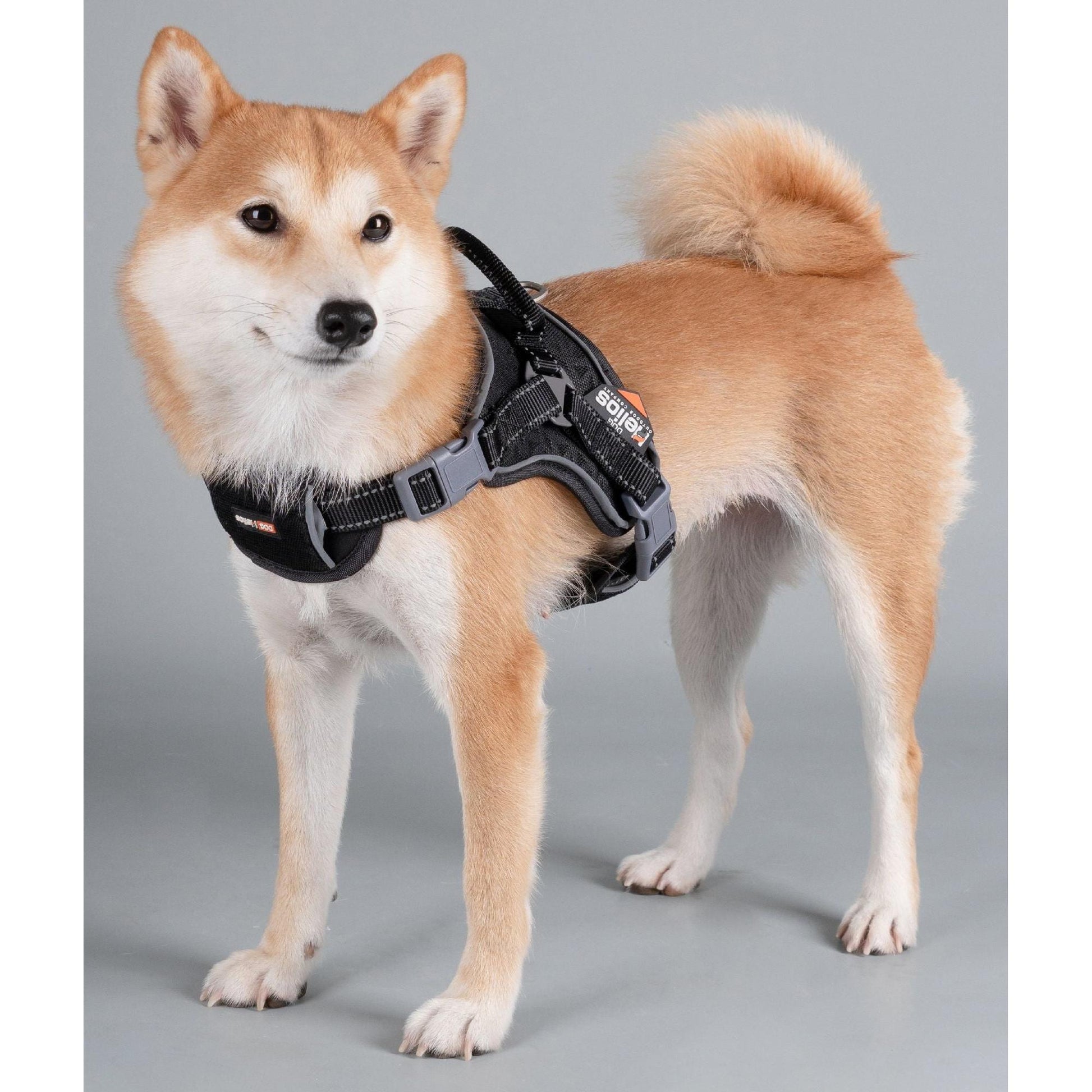 The Dog Helios 'Scorpion' harness offers comfortable and durable high-performance for dogs. - Wolldi