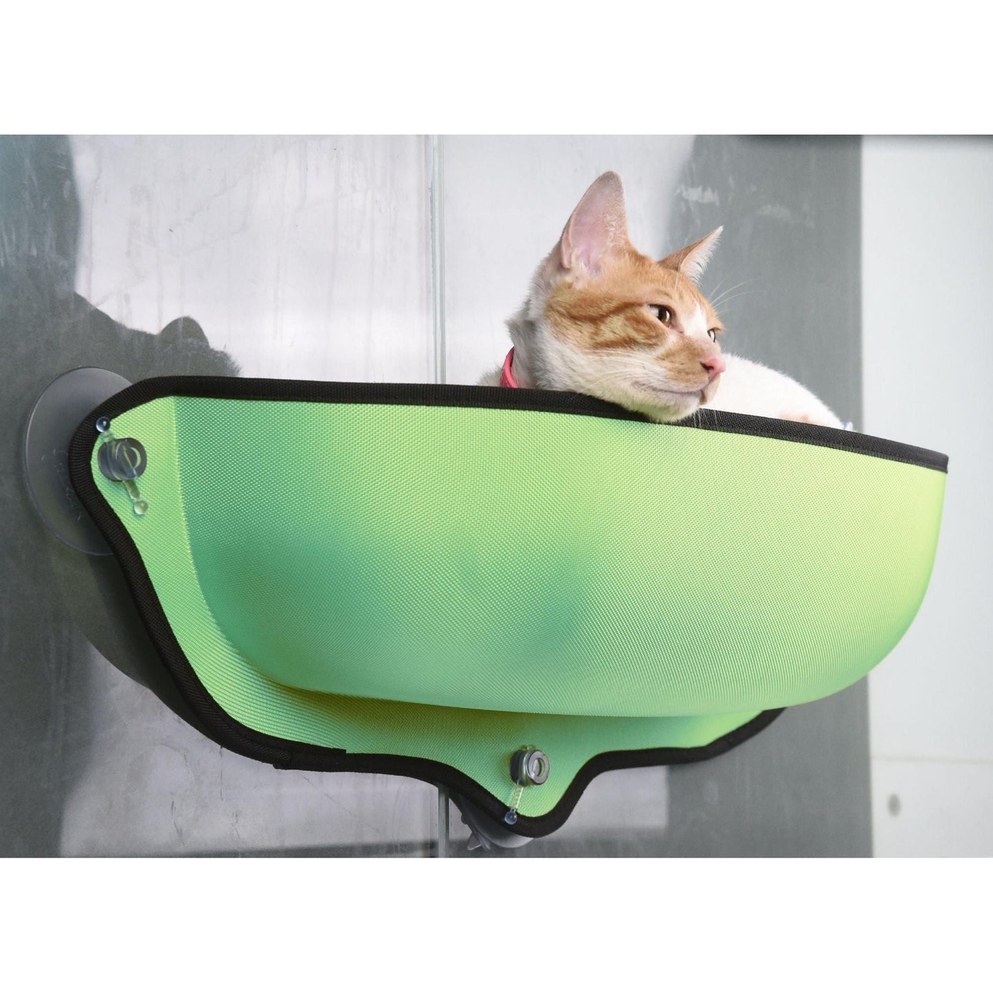 'Suction cup cat lounger attaches to glass and hard surfaces.' - Wolldi