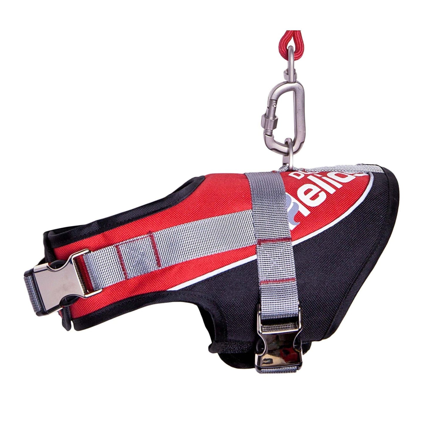 Easy Tension Dog Leash and Harness Straps