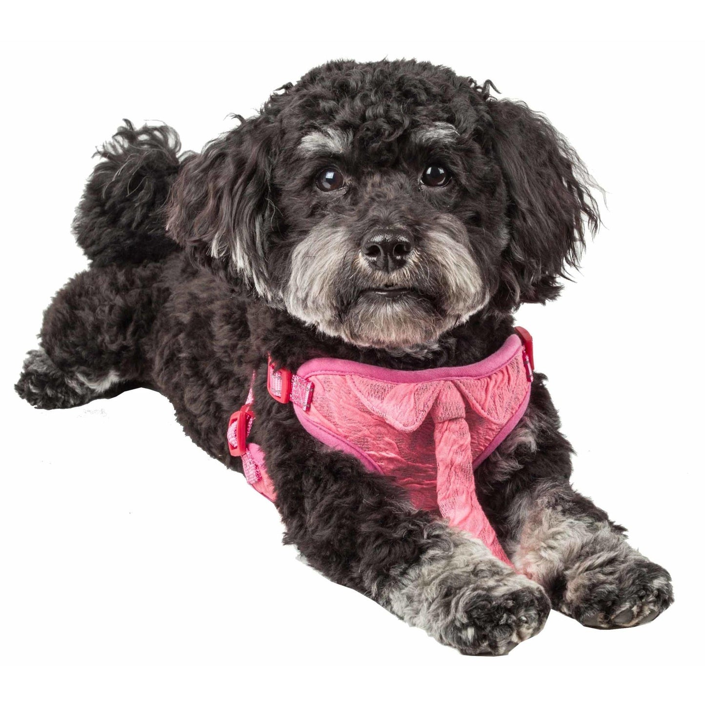 Mesh Reversible Dog Harness Straps