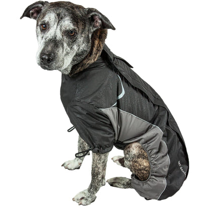 Waterproof adjustable dog jacket