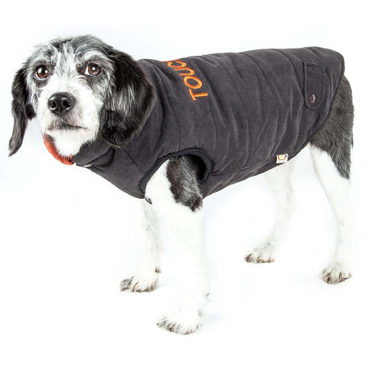 Insulated Pet Coat Fashion