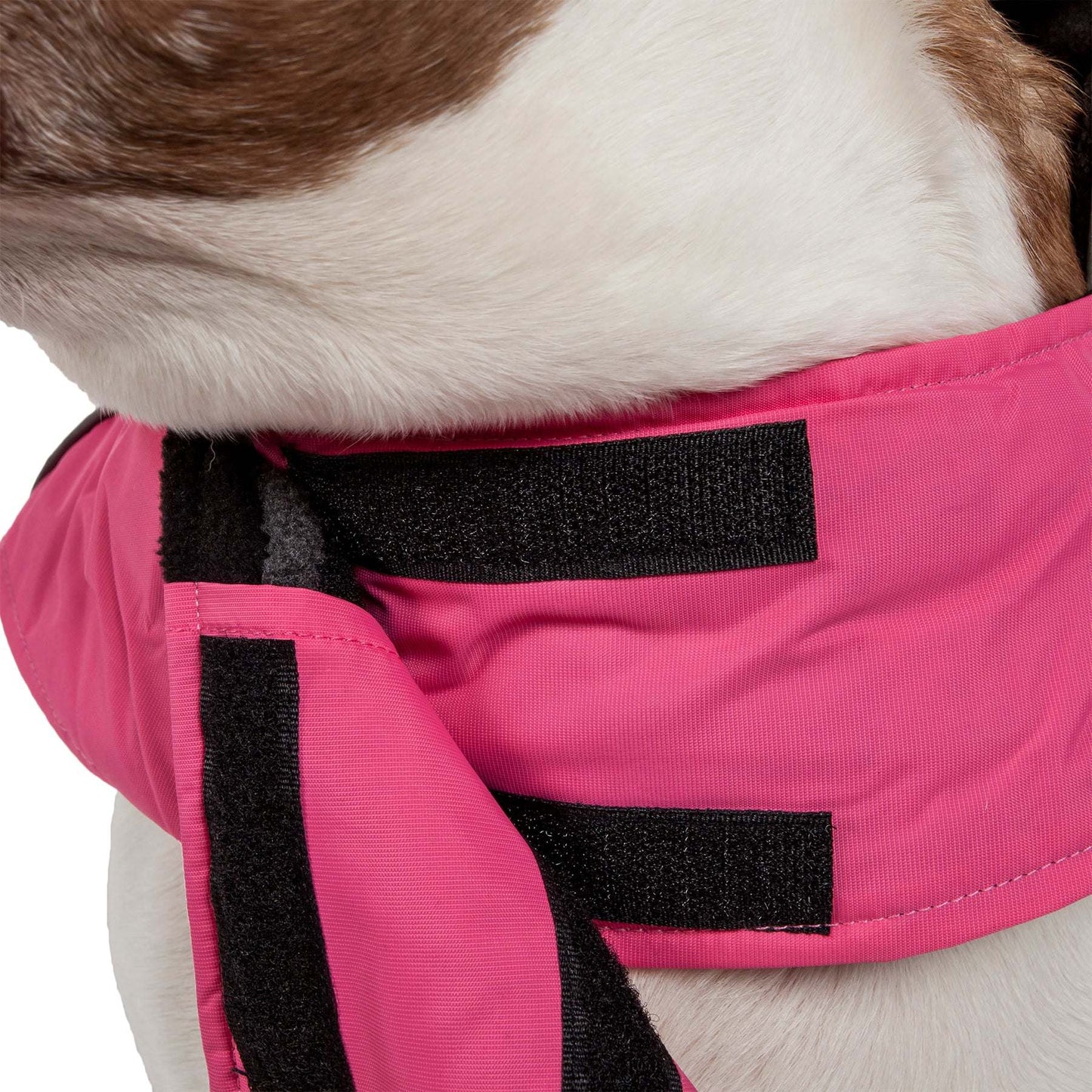 Waterproof dog jacket