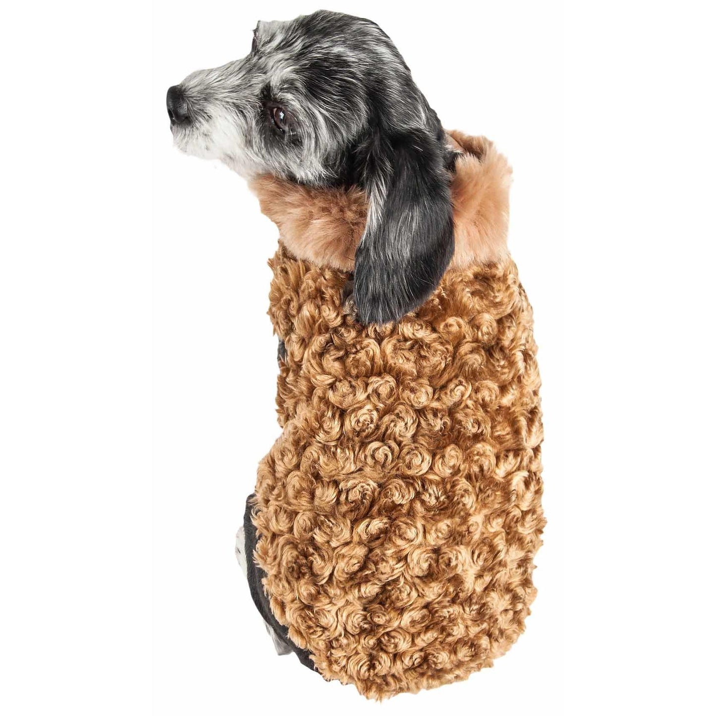 Shaggy Designer Dog Coat Fashion