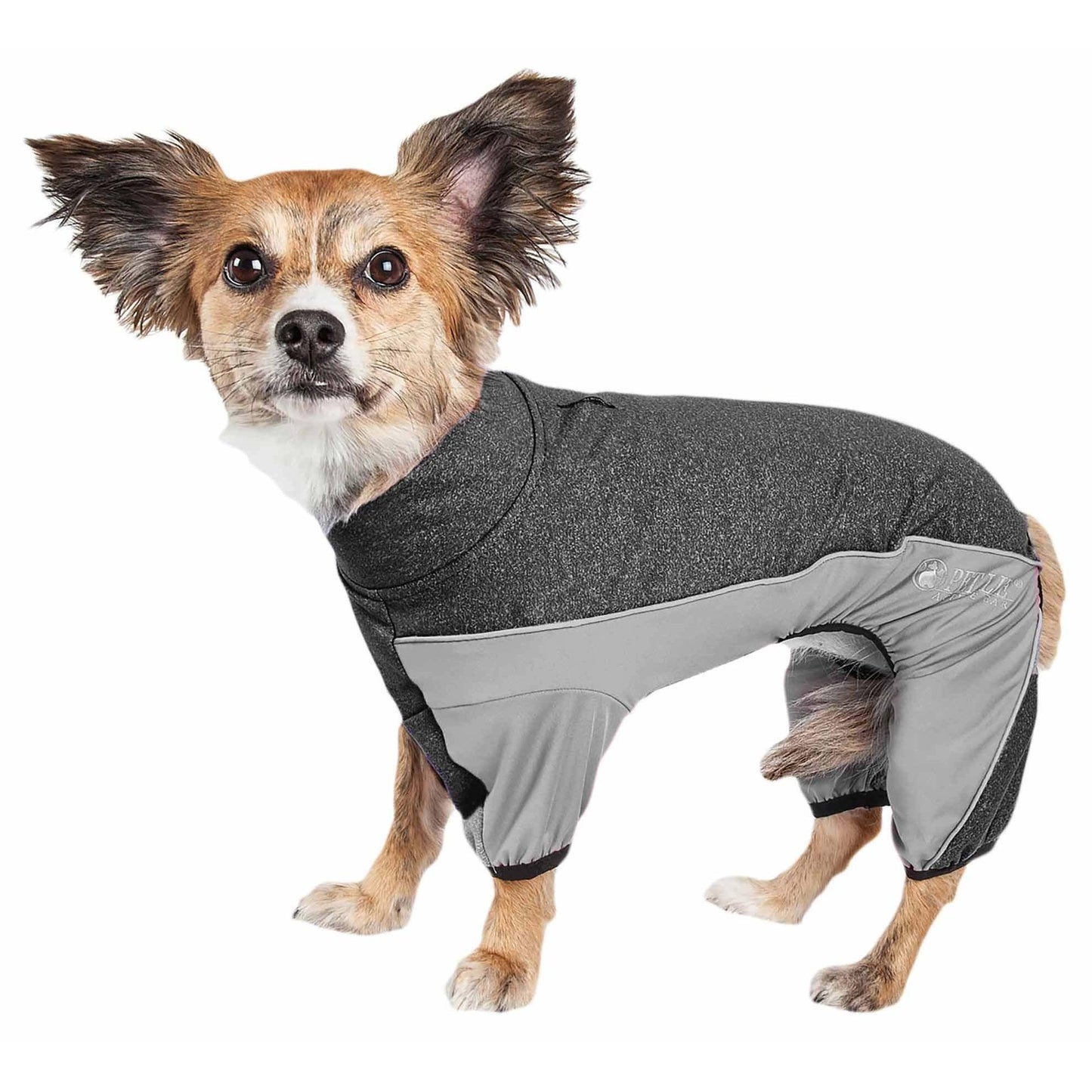 Tracksuit for Pets Canina