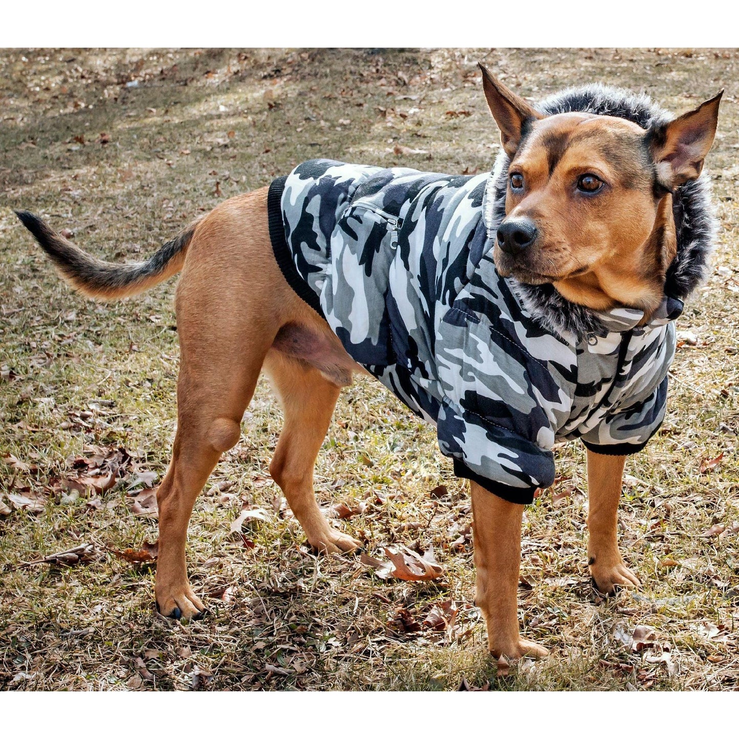 Warm Pet Parka Coat Extras