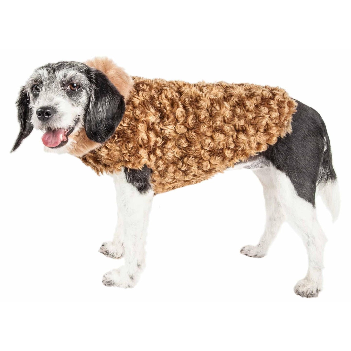 Shaggy Designer Dog Coat Fashion