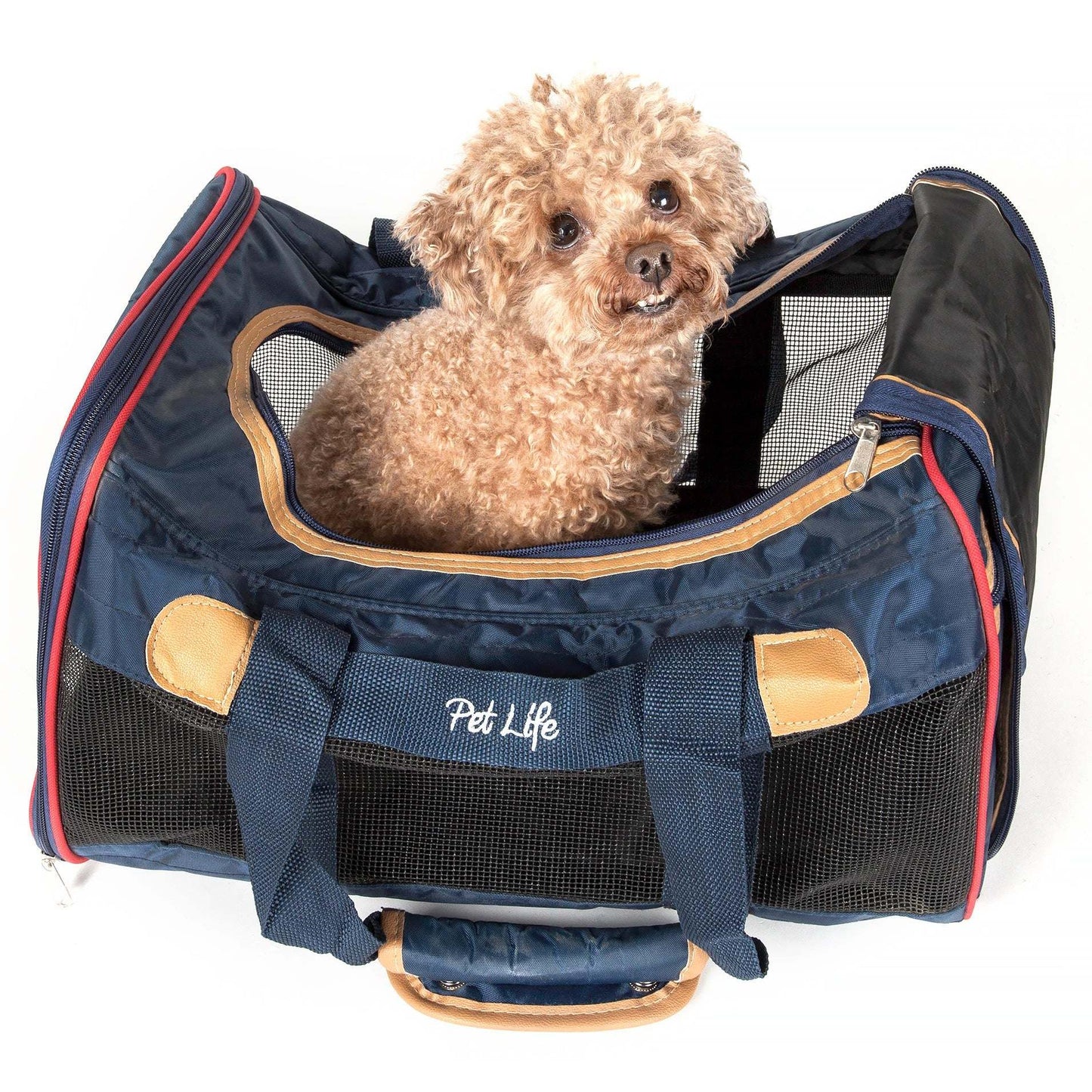 Sturdy lightweight pet carrier Transport