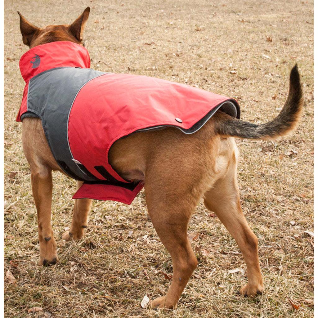 Waterproof dog jacket Fashion