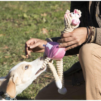 Eco-friendly jute rope dog toy Playtime