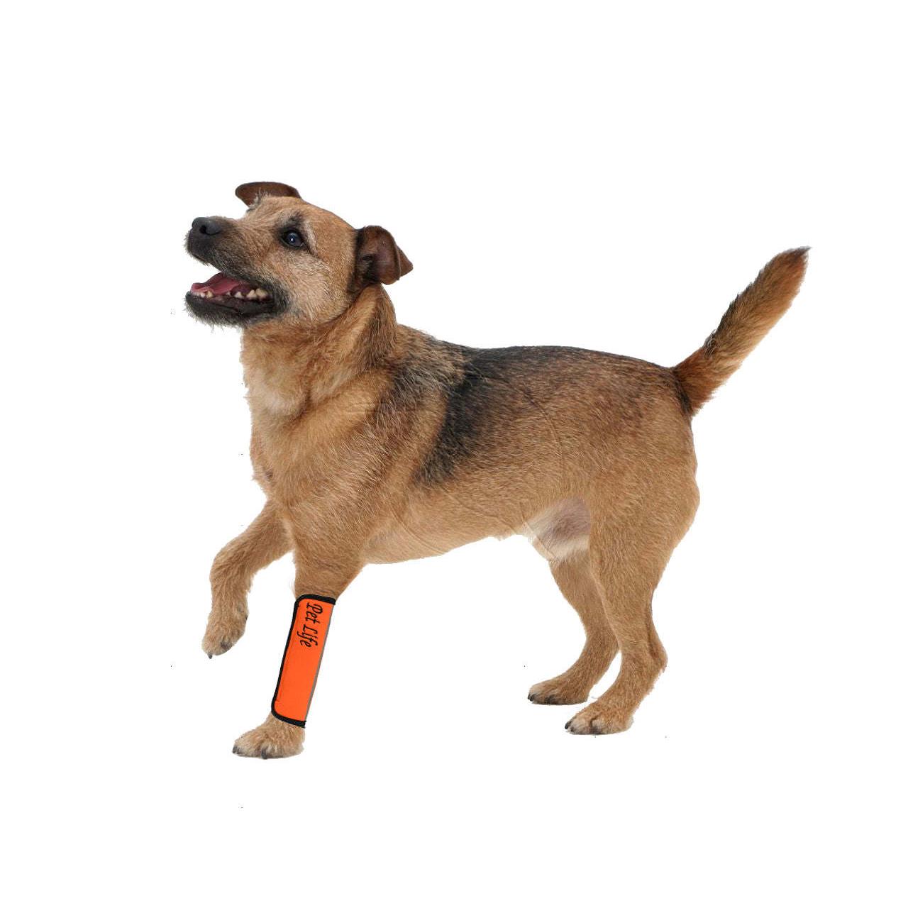 Joint protective pet sleeves