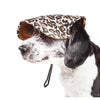 Fashionable Cheetah Dog Hat with UV Protection Extras