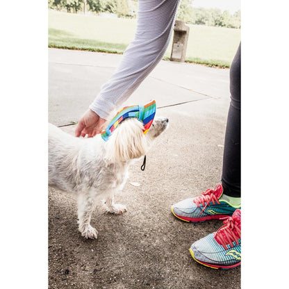 UV Protectant Rainbow Brim Dog Hat Extras