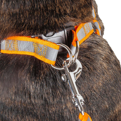 Durable Reflective Dog Leash Harness Combo Straps