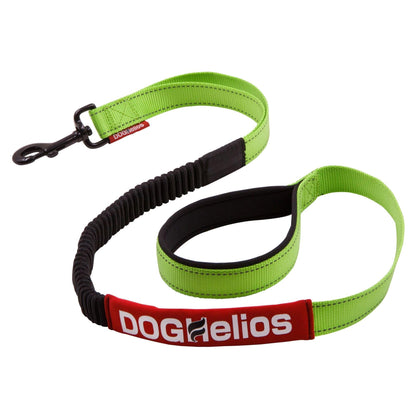 Indestructible dog leash and collar. Straps