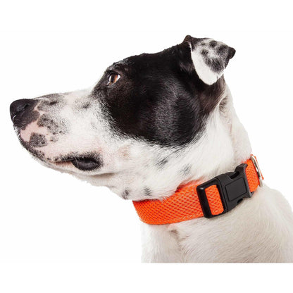 Breathable Dog Collar Straps