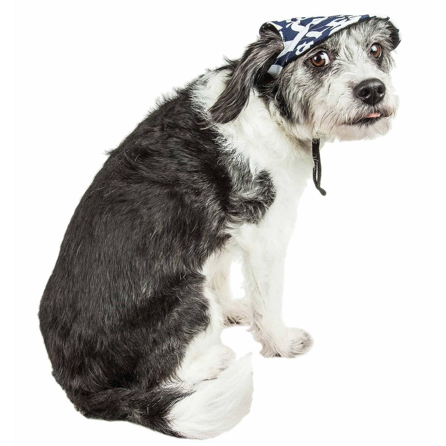 Pet Life 'Bone Cappa' Graffiti Dog Hat: UV protection, adjustable strap, multiple sizes. - Wolldi