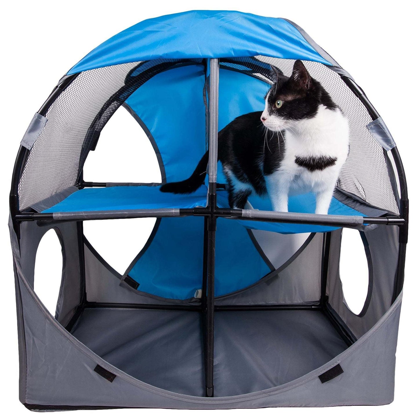 Collapsible Cat House for Multiple Cats HomeStyle