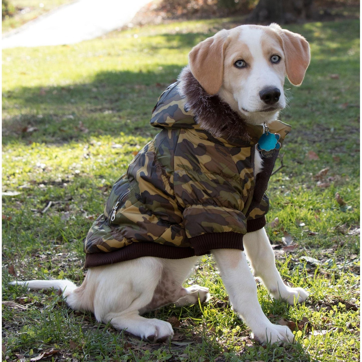 Metallic Pet Parka Coat Fashion