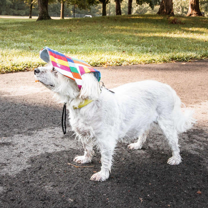 Pet Life 'Colorfur' Floral UV Protectant Adjustable Dog Hat Cap - Stylish and Sun-Protective Fashion Accessory for Dogs. - Wolldi