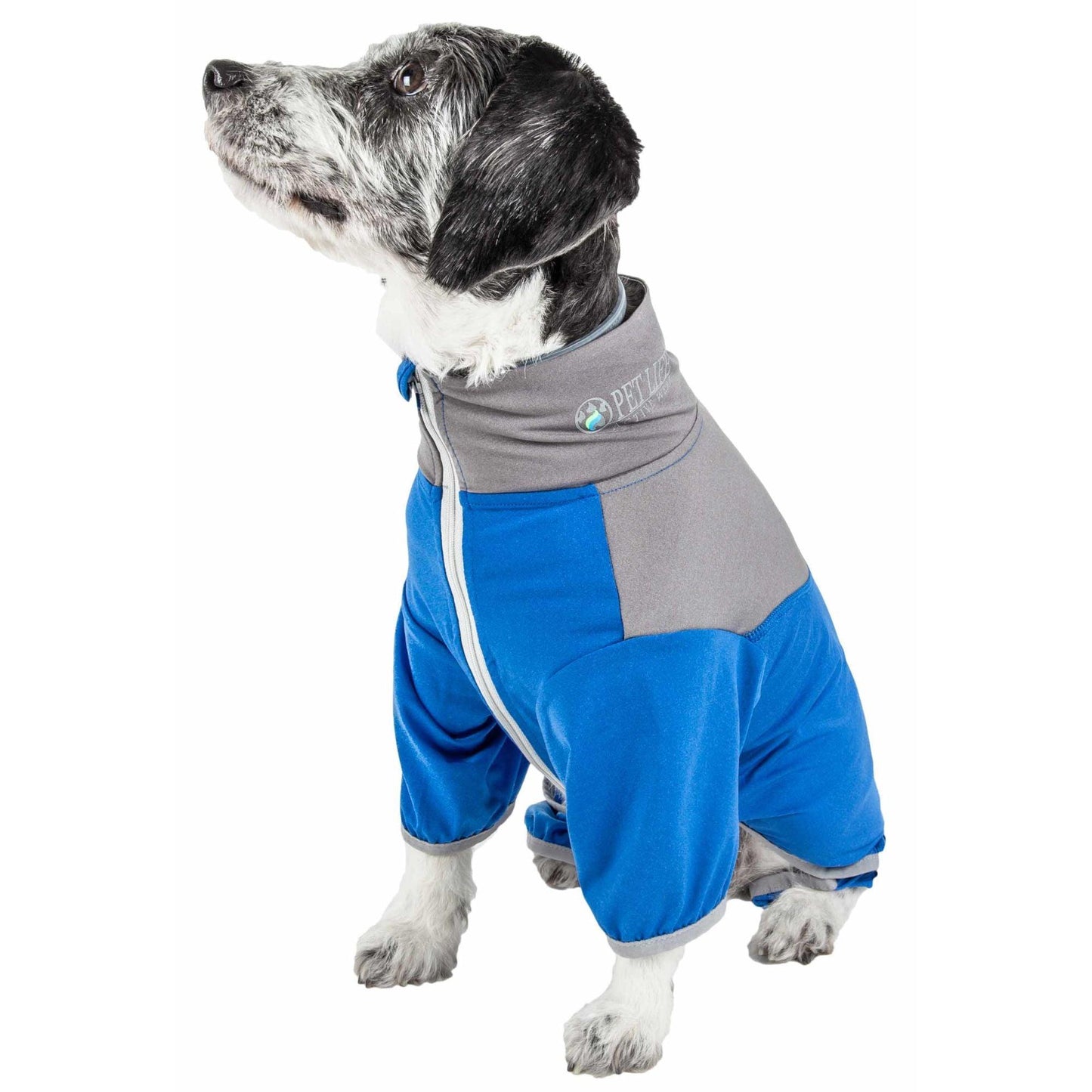 Lightweight UV protection tracksuit for dogs. Fashion