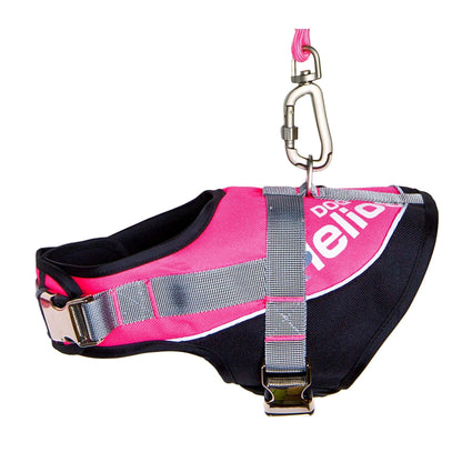 Reflective dog leash and harness Felina