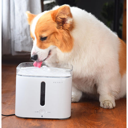 Smart pet water fountain Felina