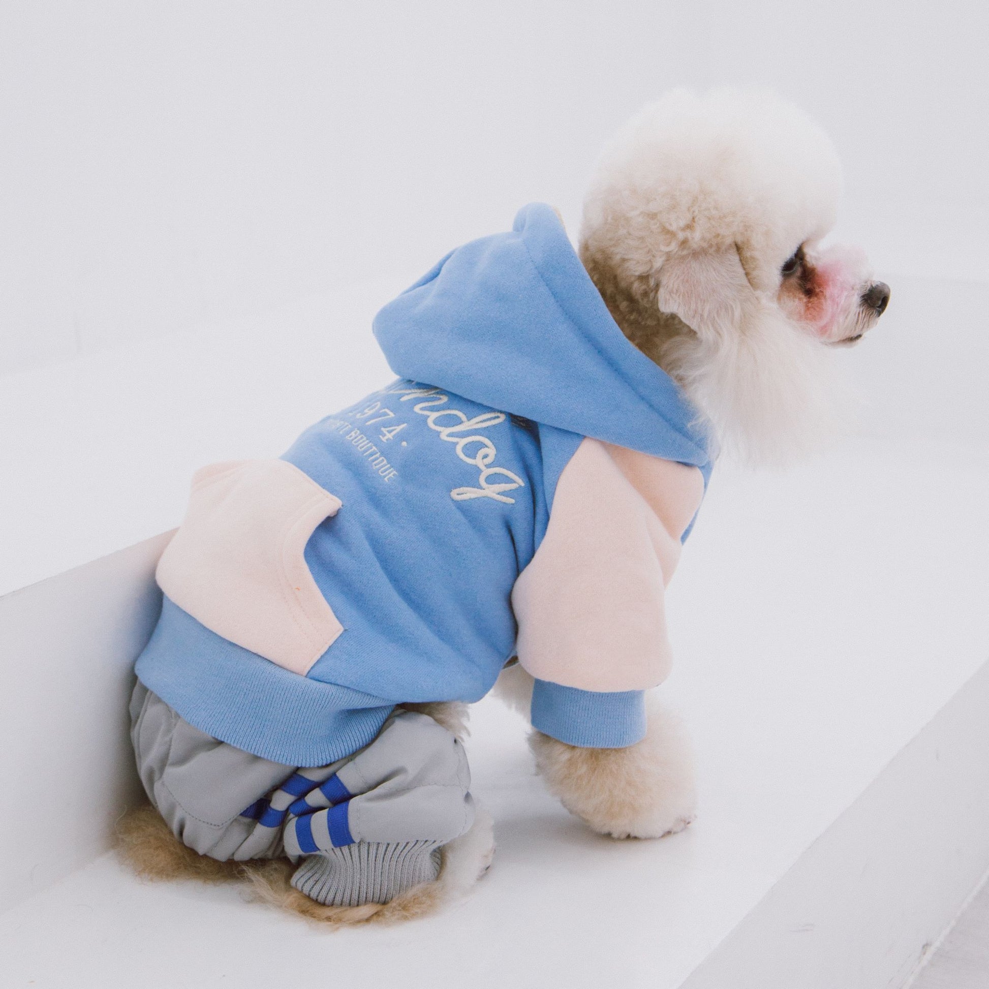 Touchdog 'Heritage' Soft-Cotton Fashion Dog Hoodie - Comfortable, stylish, and convenient for your furry friend. - Wolldi